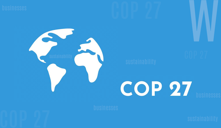 Through the lens of COP27: How practical is sustainability for businesses?